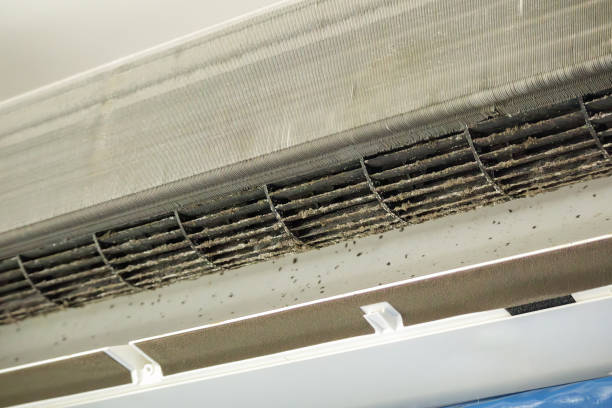 Best Affordable Duct Cleaning Services  in Aspen, CO